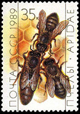 Матка-Царица и рабочая пчела